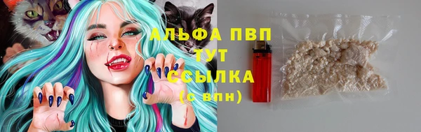 шишки Гусиноозёрск
