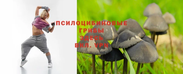 эйфоретик Алзамай