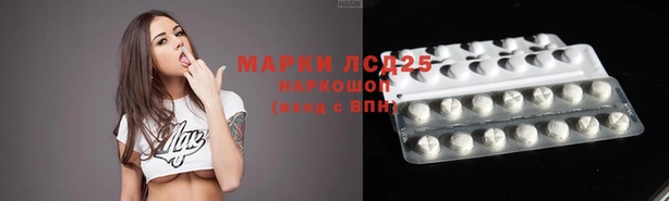 эйфоретик Алзамай