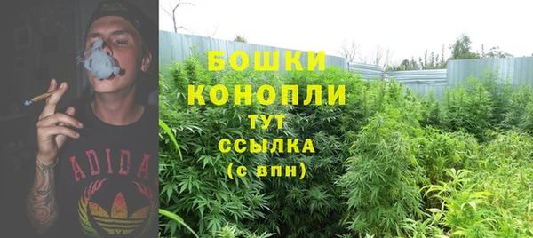 2c-b Гусь-Хрустальный