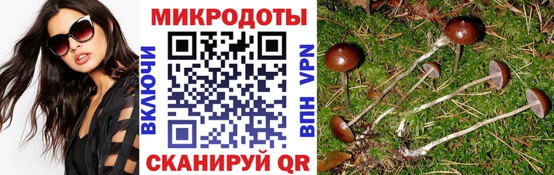 Псилоцибиновые грибы Cubensis  Чистополь 